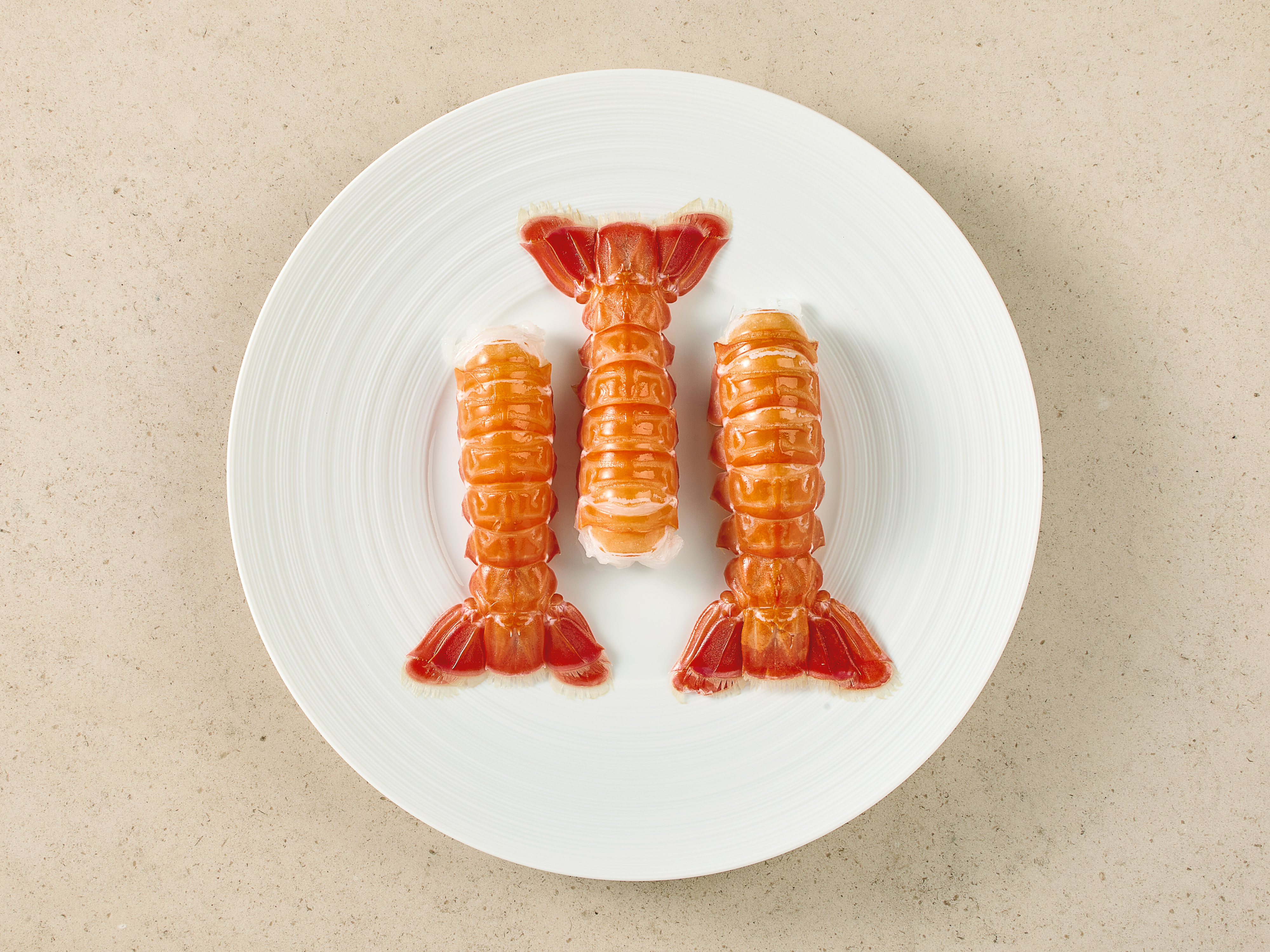 Südafrikanische Kaisergranatschwänze · Größe S