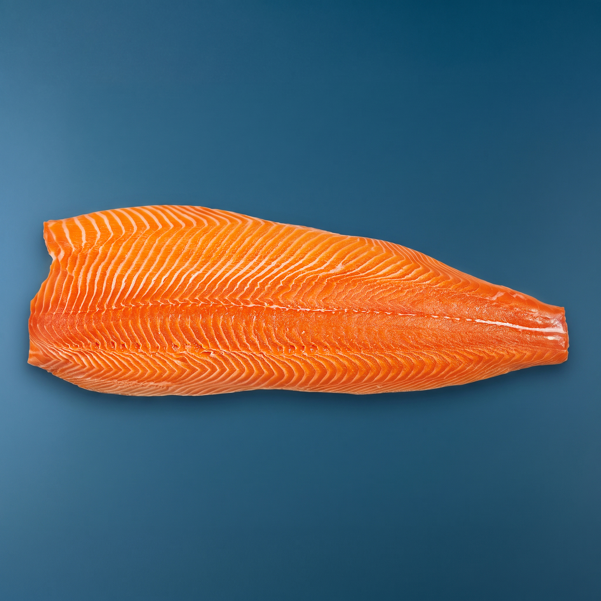 Bio-Lachsfilet