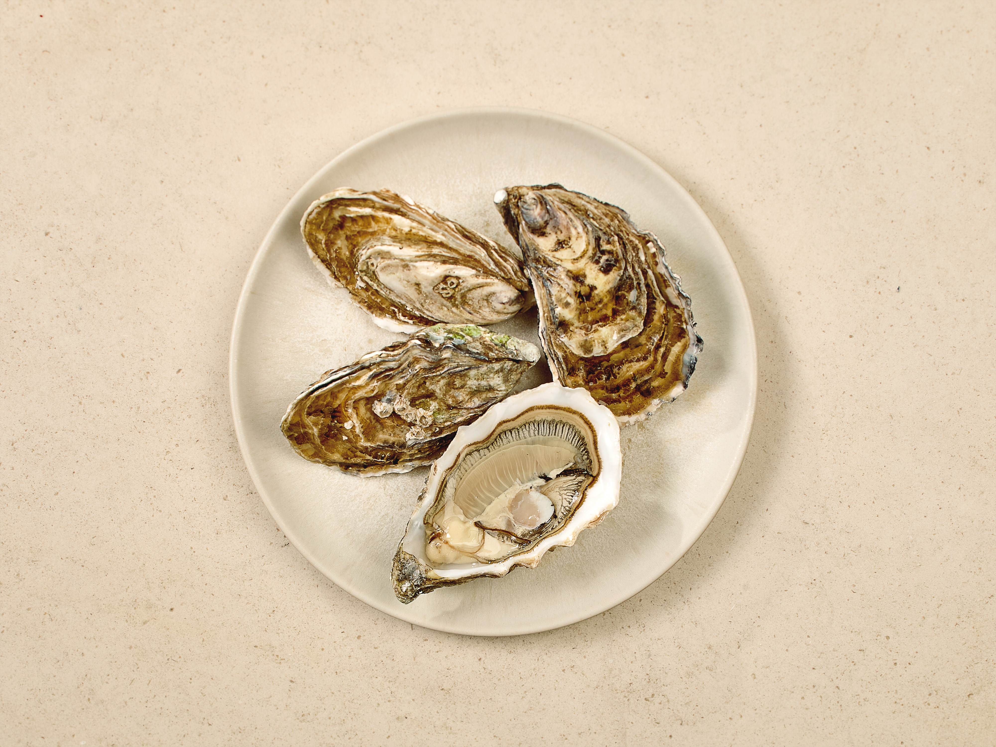 Gillardeau Austern · Speciales de Claire · ca. 155 g