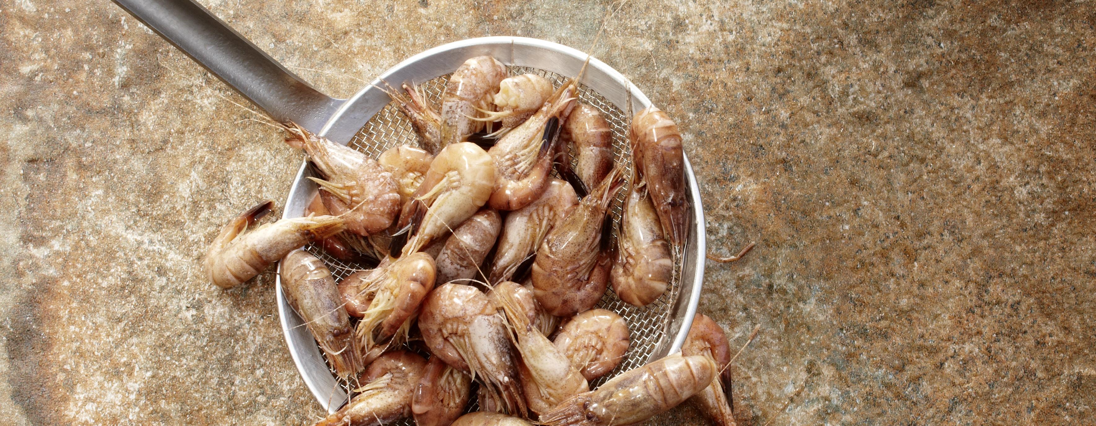 Rezepte mit Nordseekrabben