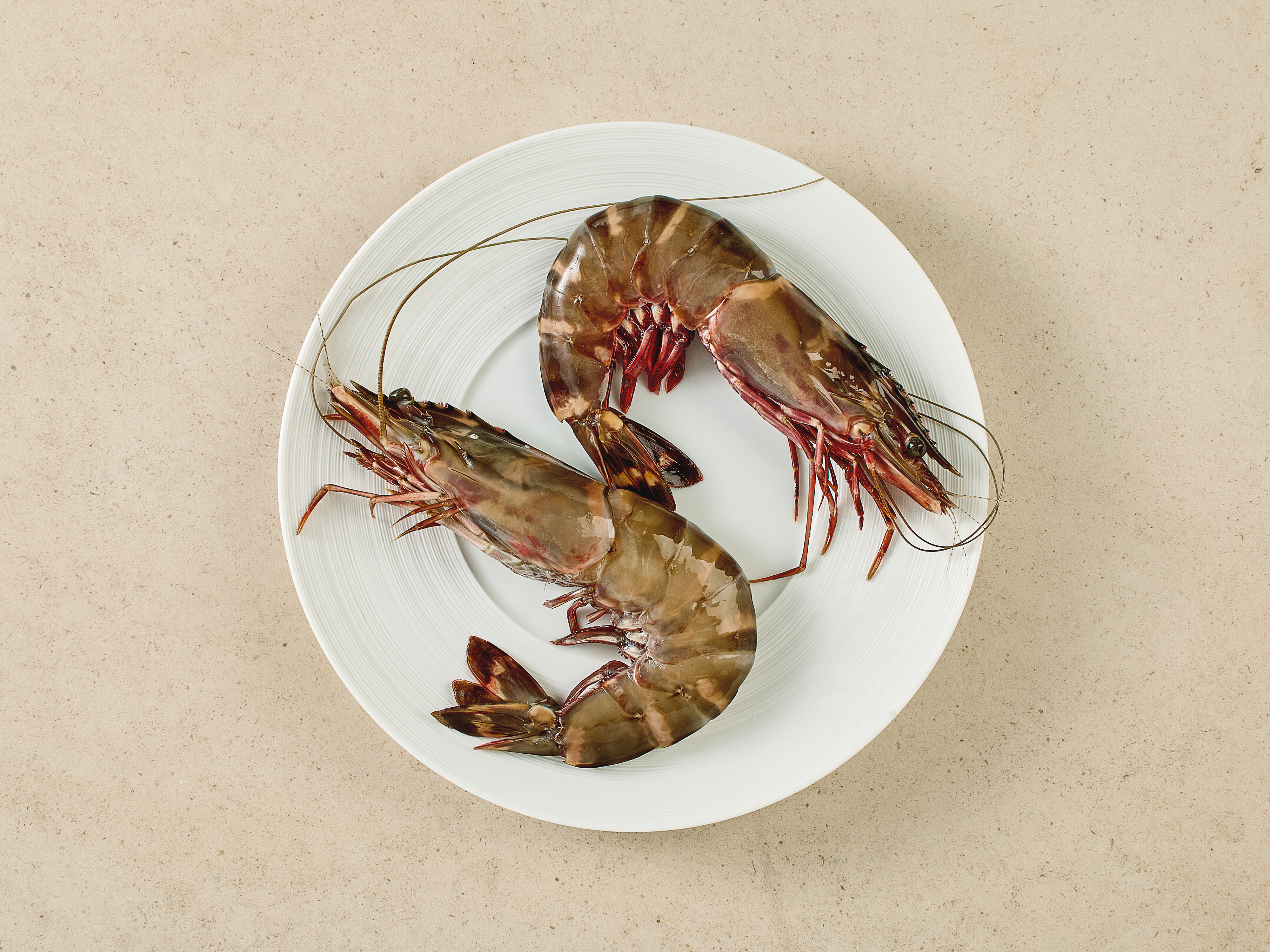 Sea Tiger Garnelen · 8-12 Stück