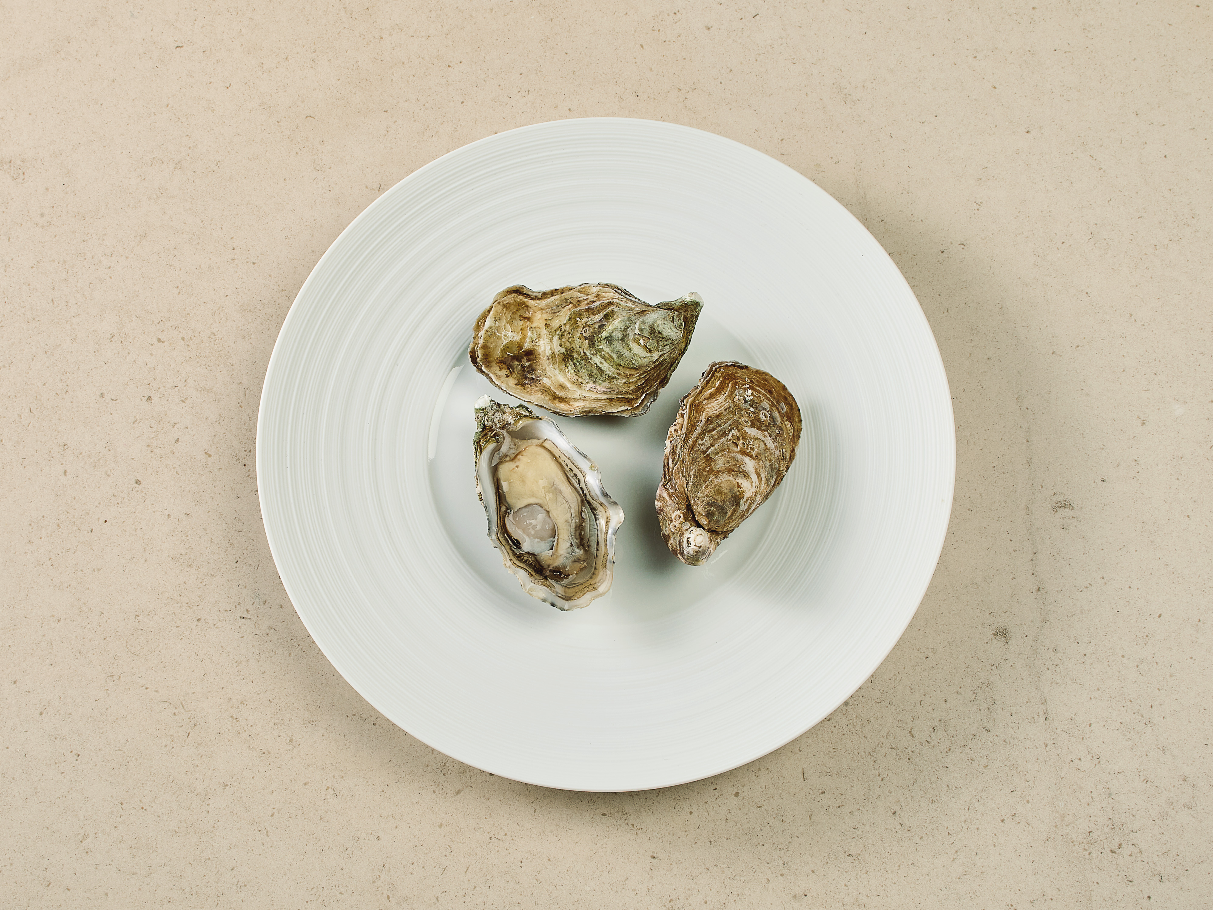 Tia Maraa Austern No. 3 · 75g