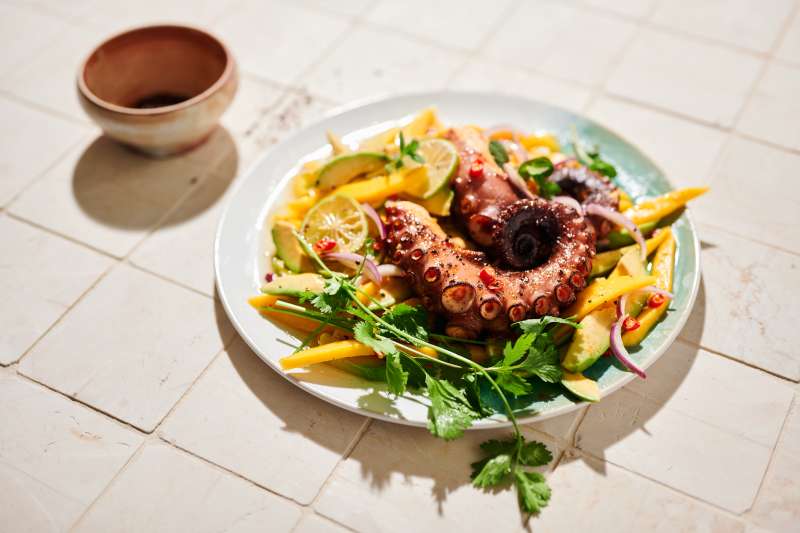 Gegrillter Pulpo auf Mango-Avocado-Salat Gegrillter Pulpo auf Mango-Avocado-Salat