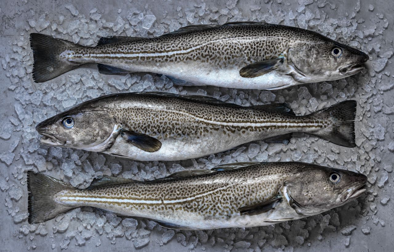 Rezept: Zitronenlachs aus dem Ofen Rezept: Zitronenlachs aus dem Ofen