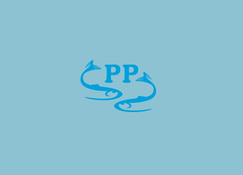 P&P-Gruppe ausgezeichnet