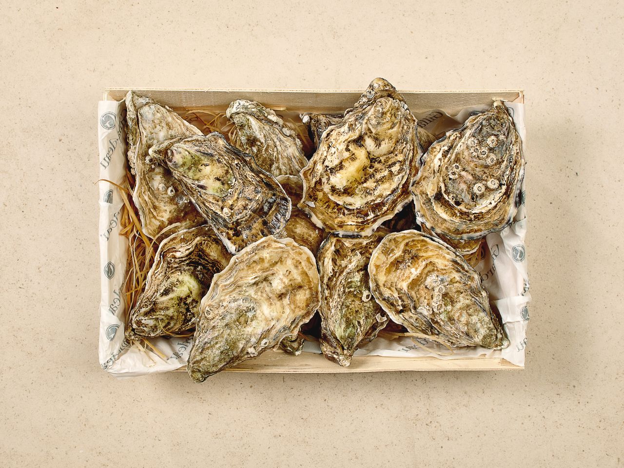 Gillardeau Austern · Speciales de Claire · ca. 155 g