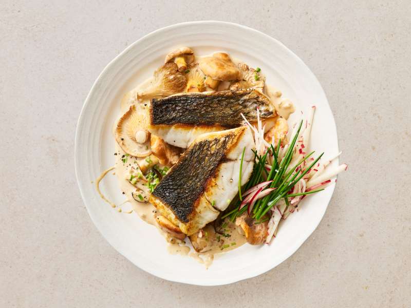 Adlerfisch auf Schwammerlragout Adlerfisch auf Schwammerlragout