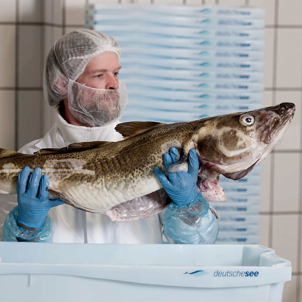 #Missionfish
