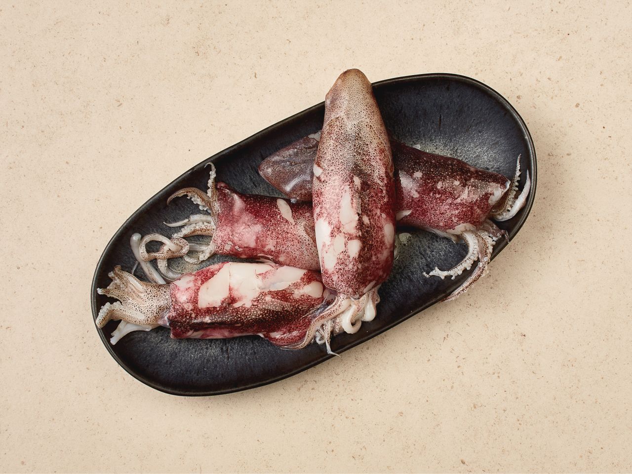 Von bester Herkunft Von bester Herkunft