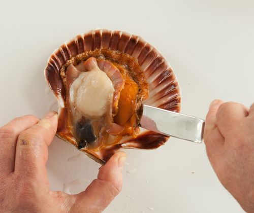 Fleisch lösen Fleisch lösen