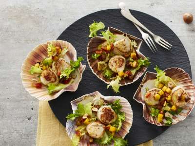 Jakobsmuscheln mit Mangosalat