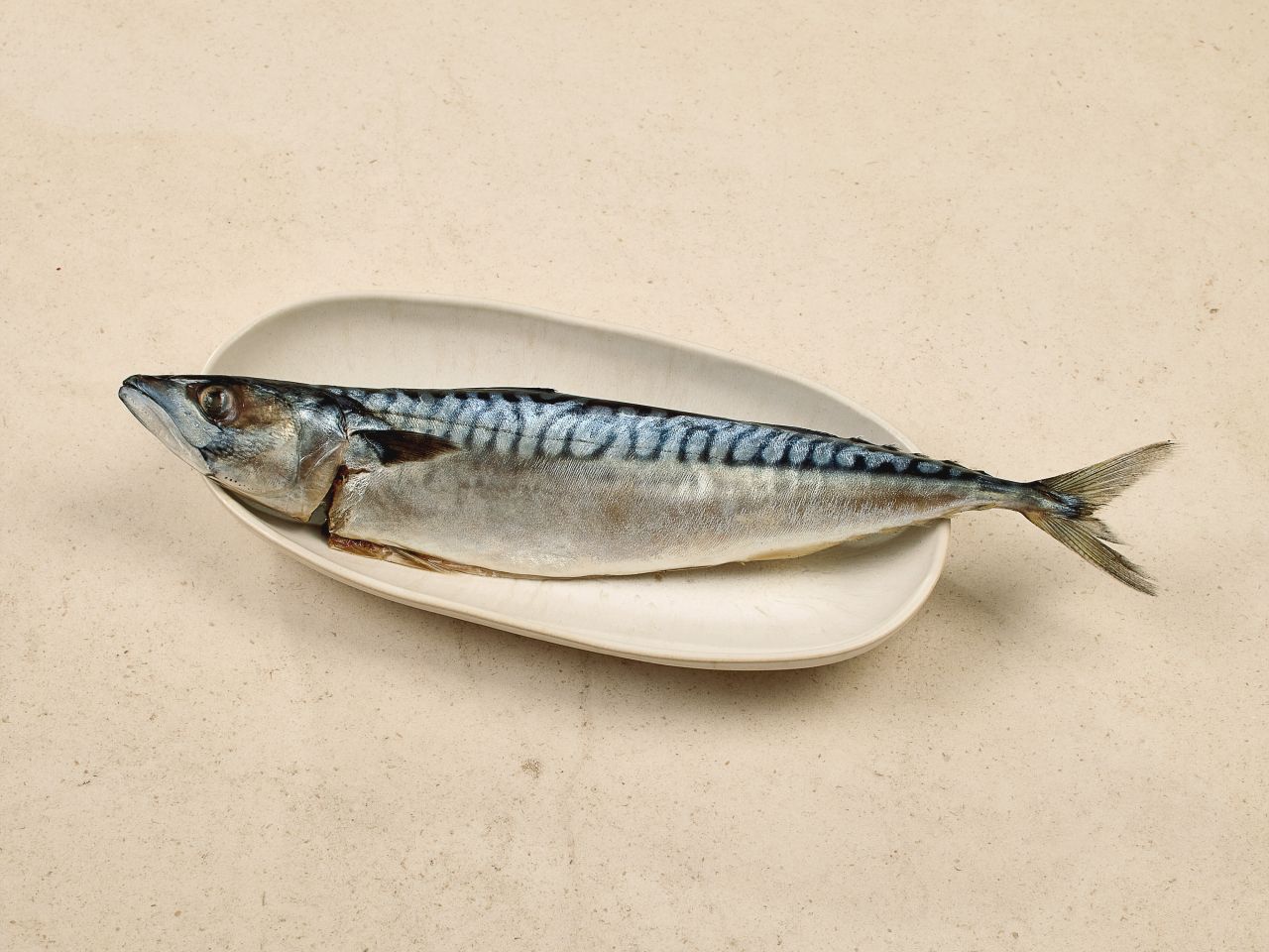 Makrele Makrele