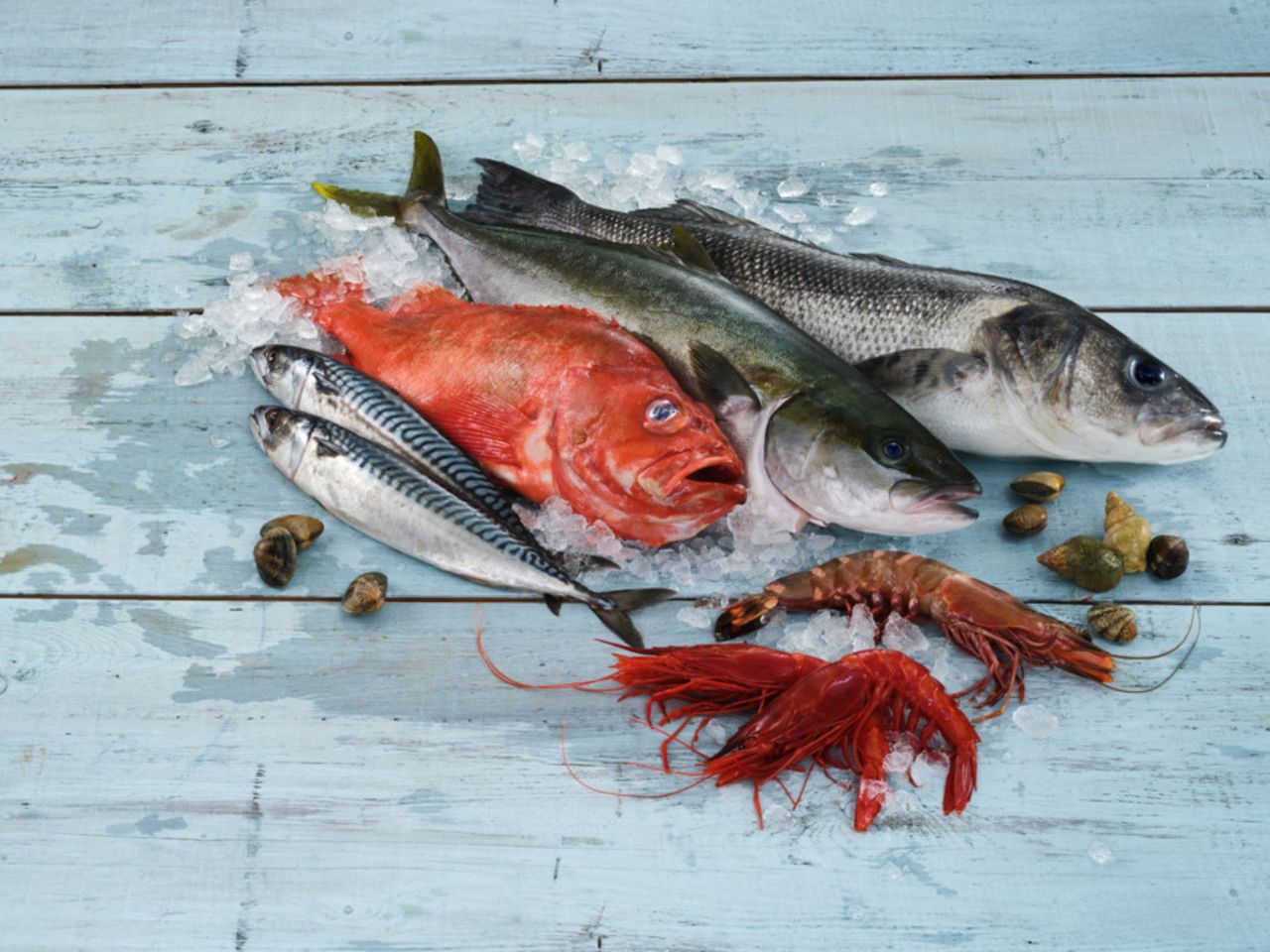 Ihr Partner für Fisch & Meeresfrüchte