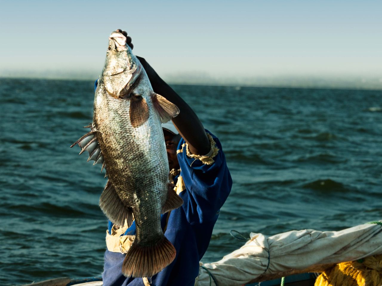 Naturland Victoriasee-Barsch Naturland Victoriasee-Barsch
