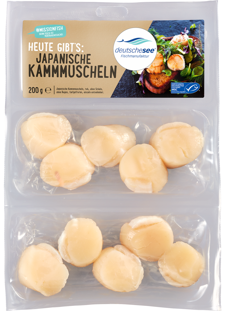 Japanische Kammmuscheln Japanische Kammmuscheln