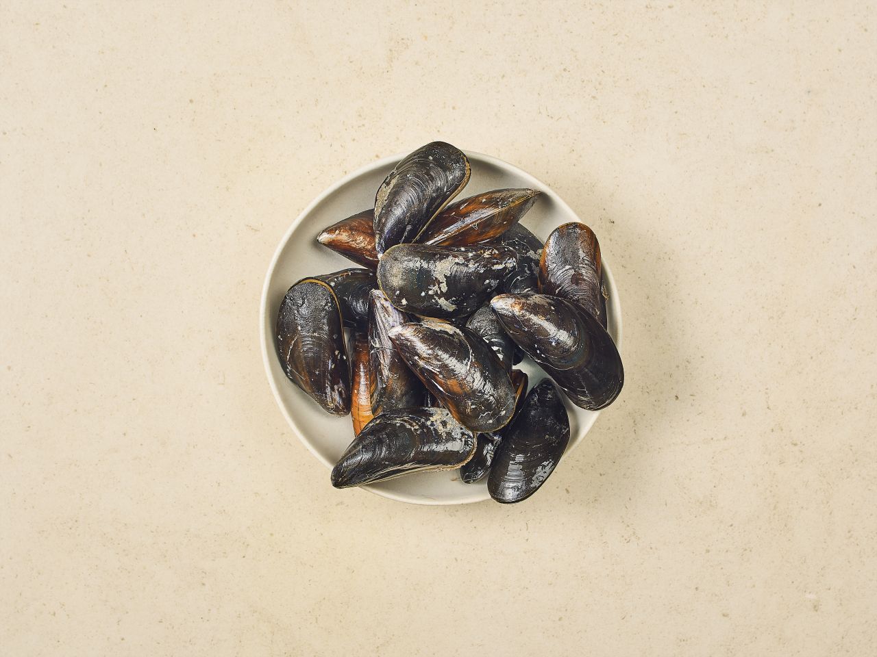 Miesmuscheln (MSC) · Größe XL Miesmuscheln (MSC) · Größe XL