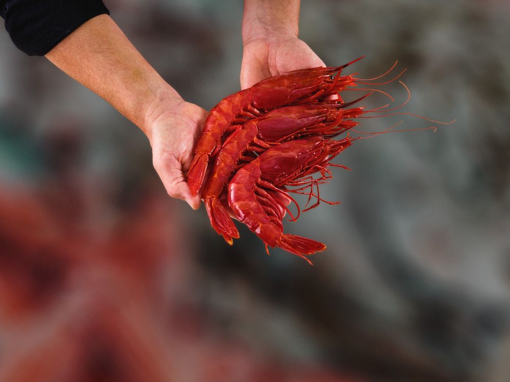 Genuss aus der Deutsche See Fischmanufaktur Genuss aus der Deutsche See Fischmanufaktur
