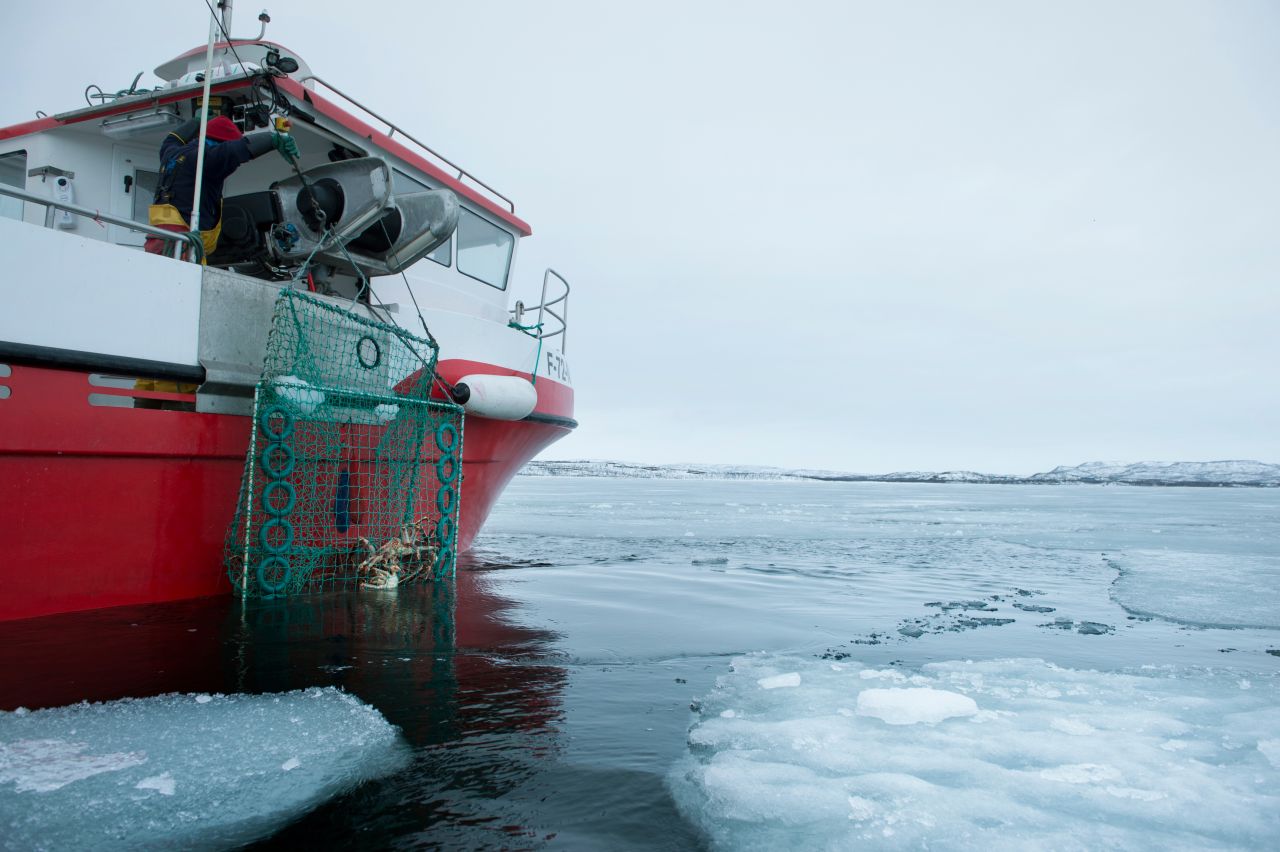 Beheimatet im nördlichen Pazifik Beheimatet im nördlichen Pazifik