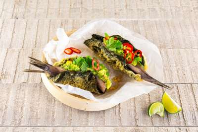 Nori-Taco mit Matjes