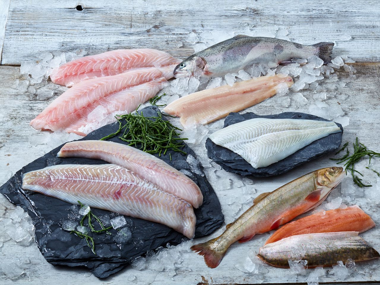 Fisch & Meeresfrüchte