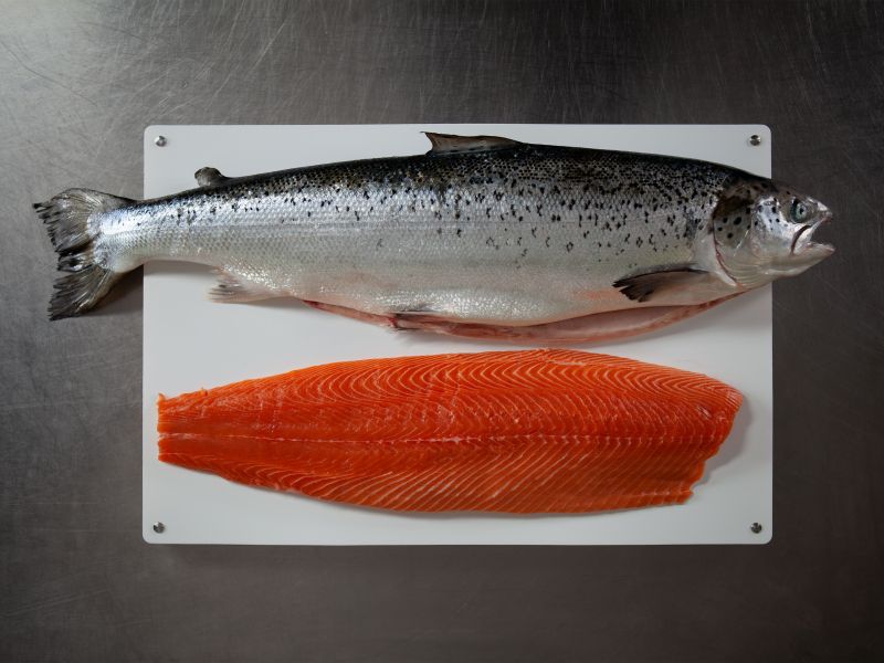 Wie filetiere ich einen Lachs?