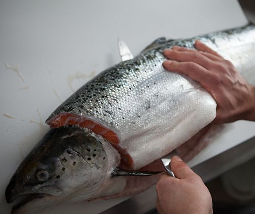 Filet auslösen Filet auslösen