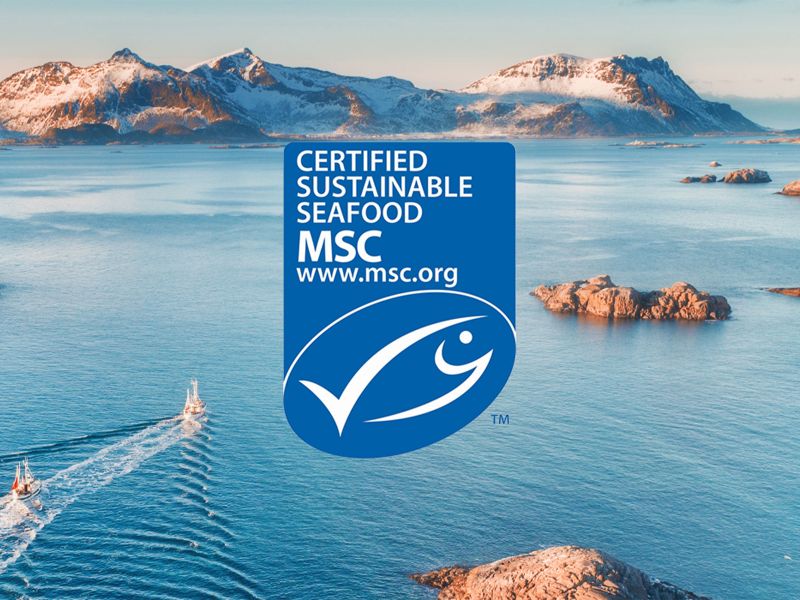 MSC-Zertifiziert