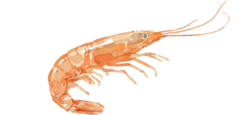 Garnele