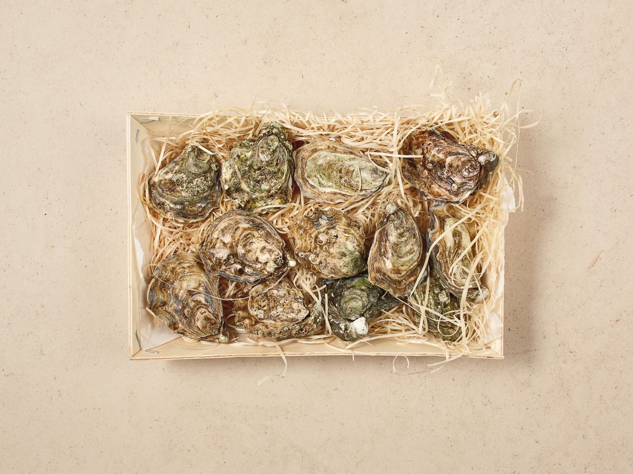 Tia Maraa Austern No. 3 · 75g