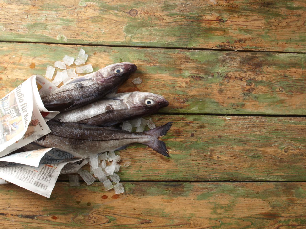 Schellfisch-kaufen-Deutsche-See-Onlineshop