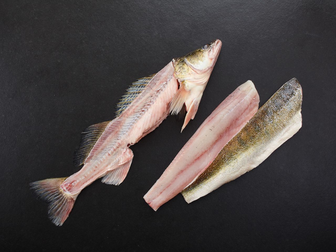 Zander Zander