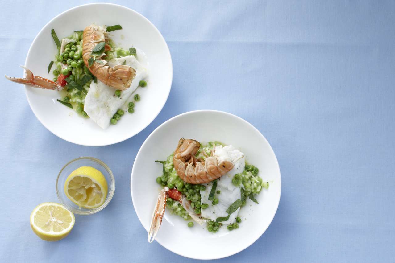 Gedämpfter Steinbutt mit Kaisergranat Gedämpfter Steinbutt mit Kaisergranat