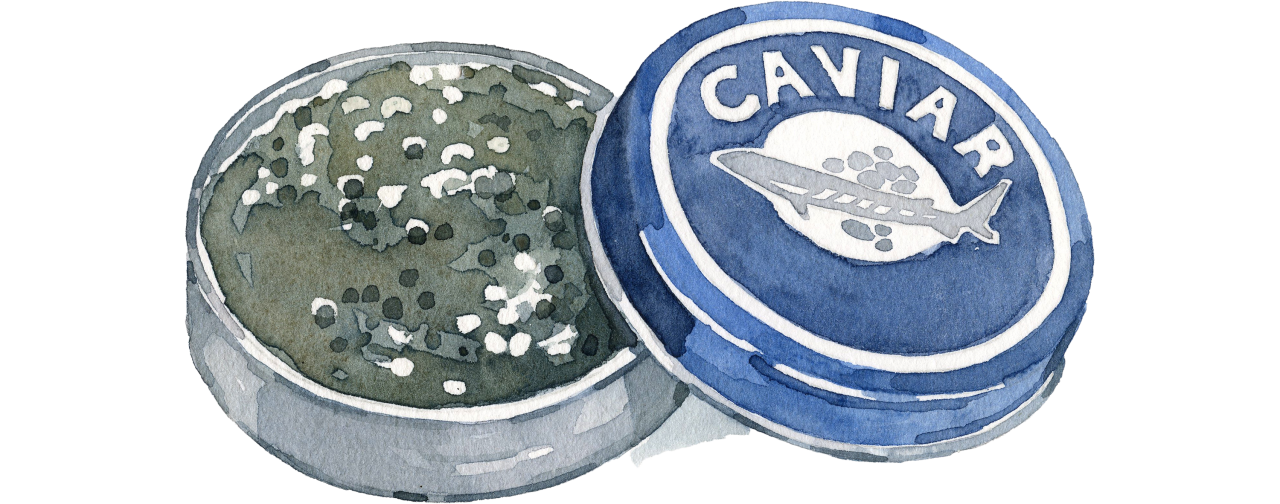 Fischlexikon: Kaviar Fischlexikon: Kaviar