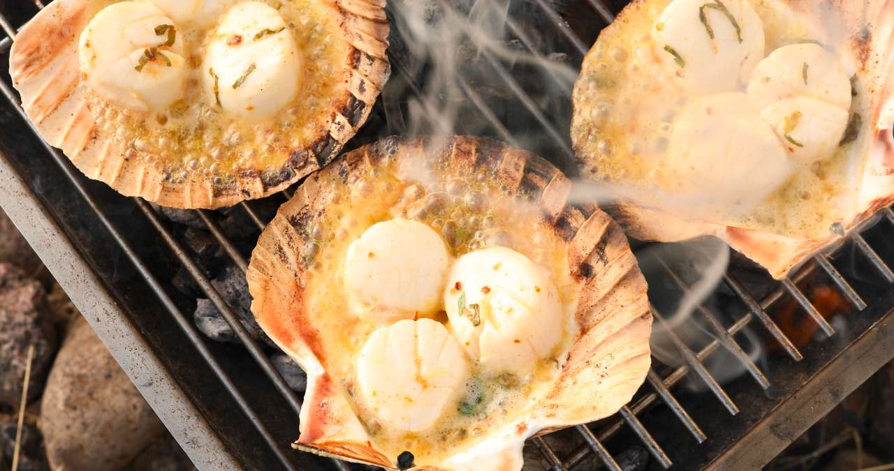 Rezept: Pikante Jakobsmuscheln in Schale Rezept: Pikante Jakobsmuscheln in Schale
