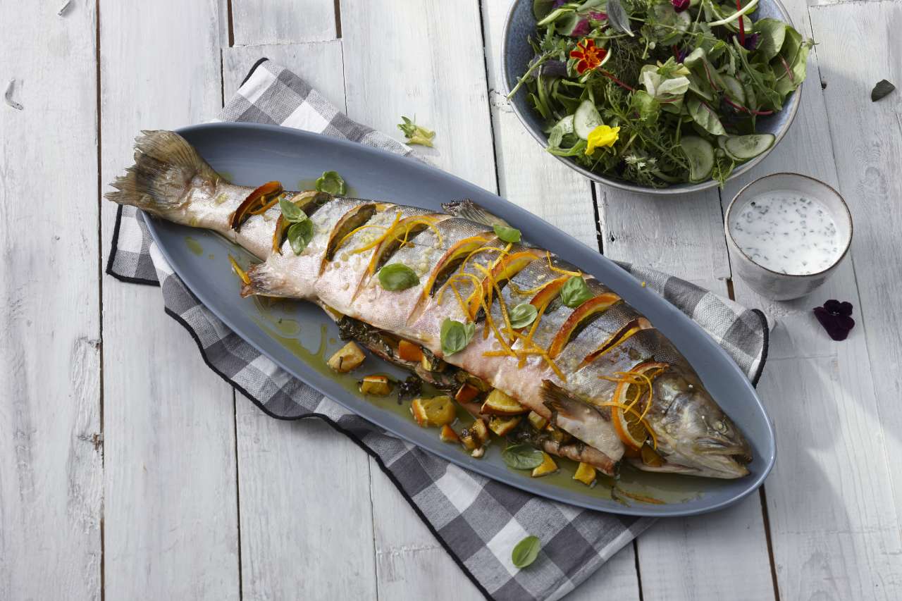 Saibling mit isländischem Salat