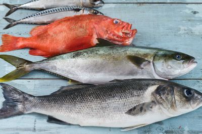 Ganzer Fisch Ganzer Fisch
