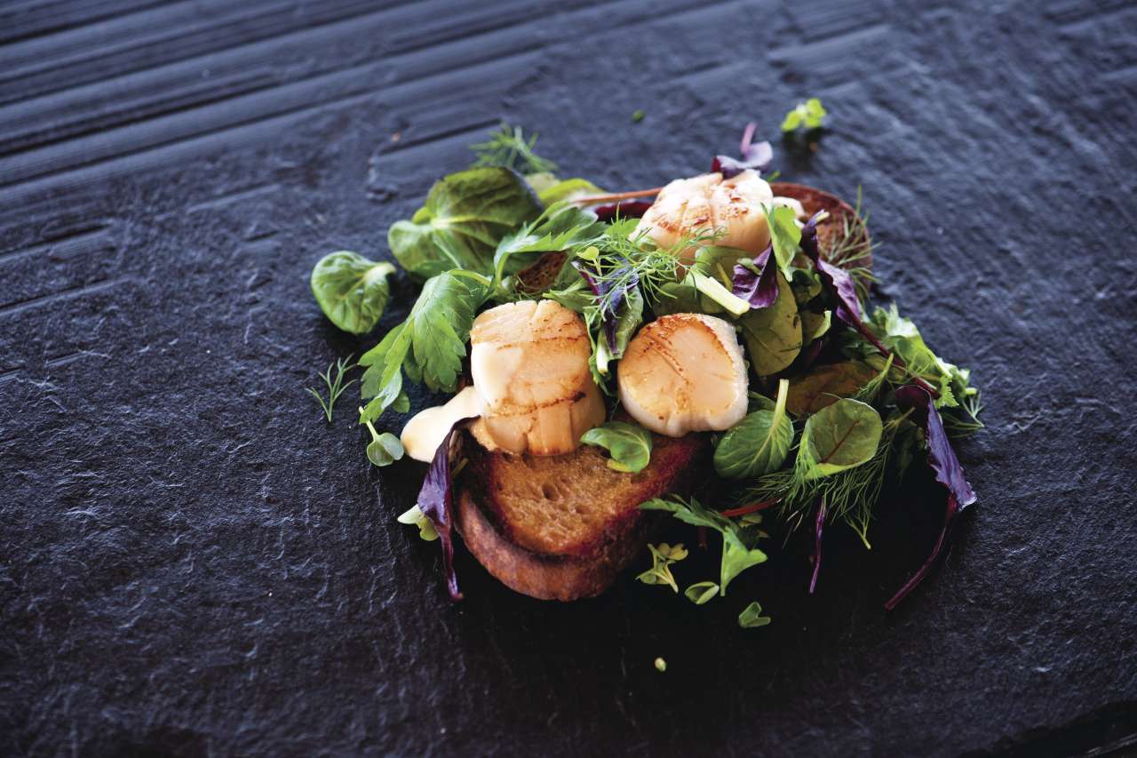 Rezept: Jakobsmuscheln auf gerösteter Stulle Rezept: Jakobsmuscheln auf gerösteter Stulle