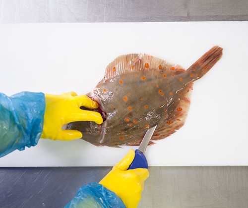 Einschneiden Einschneiden