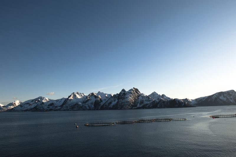 GLOBAL G.A.P.  GLOBAL G.A.P.