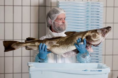 Missionfish Missionfish
