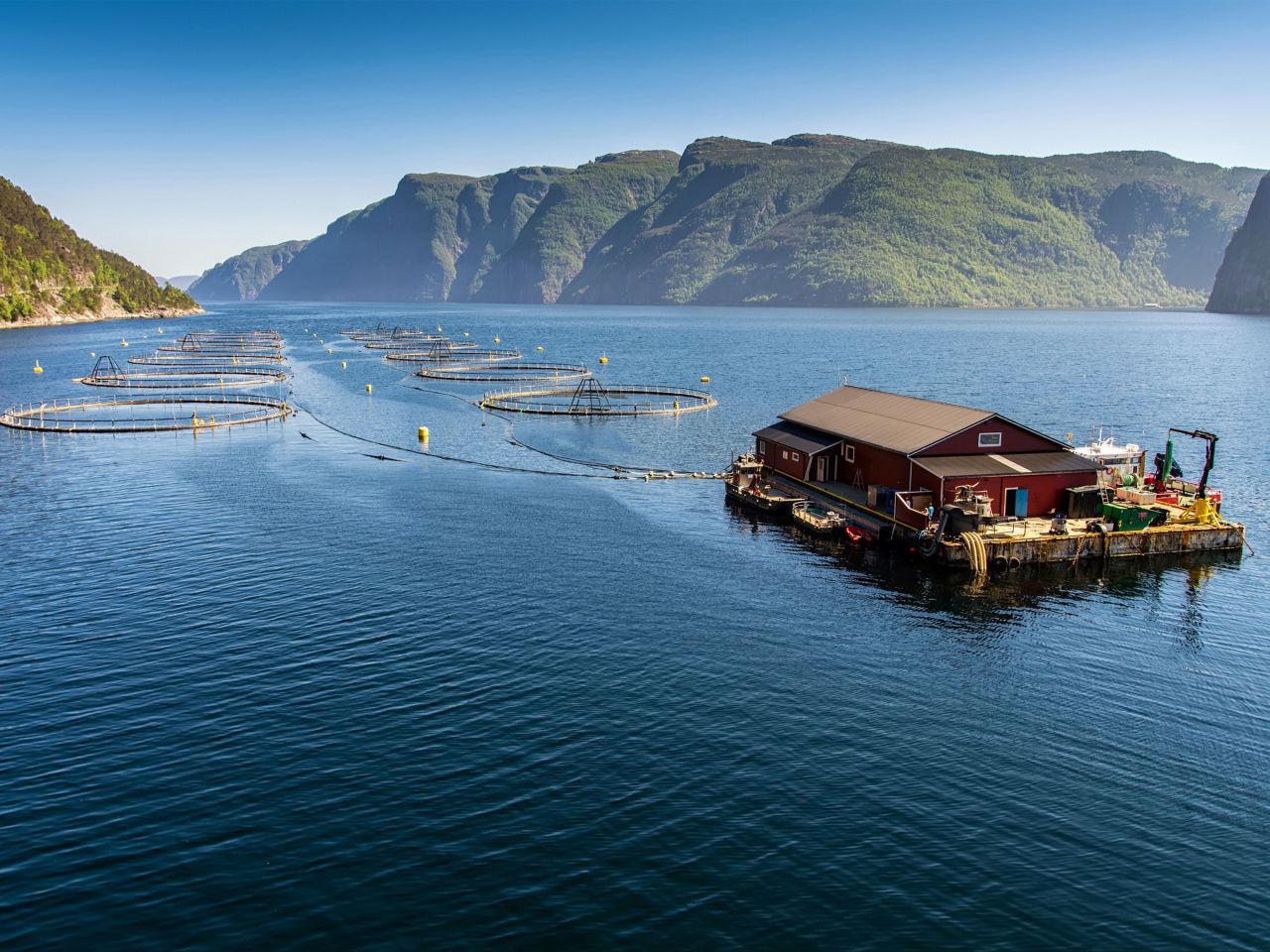 Bio-Siegel Bio-Siegel