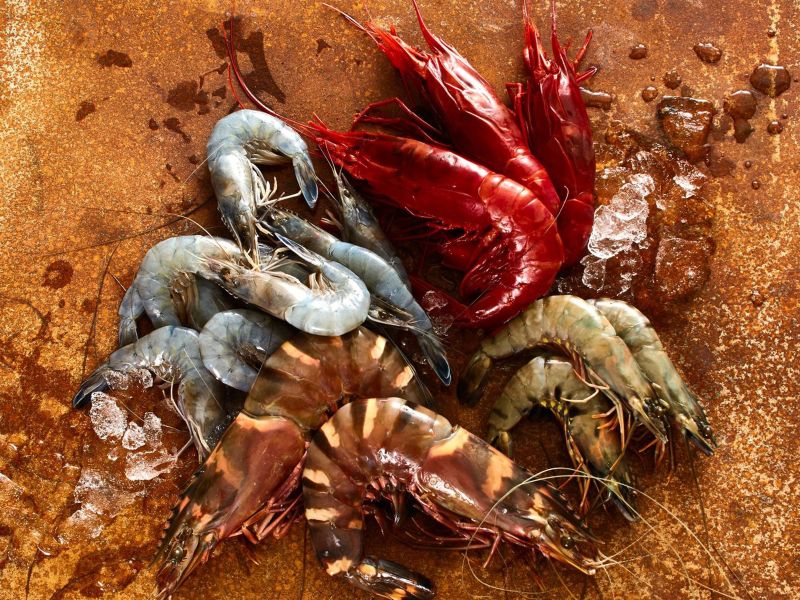Scampi & Garnelen Wo ist der Unterschied?