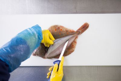 Wie filetiere ich eine Scholle?