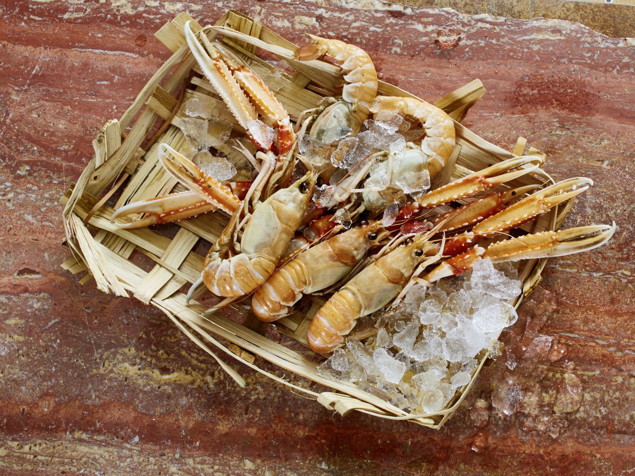 Kaisergranat Kaisergranat