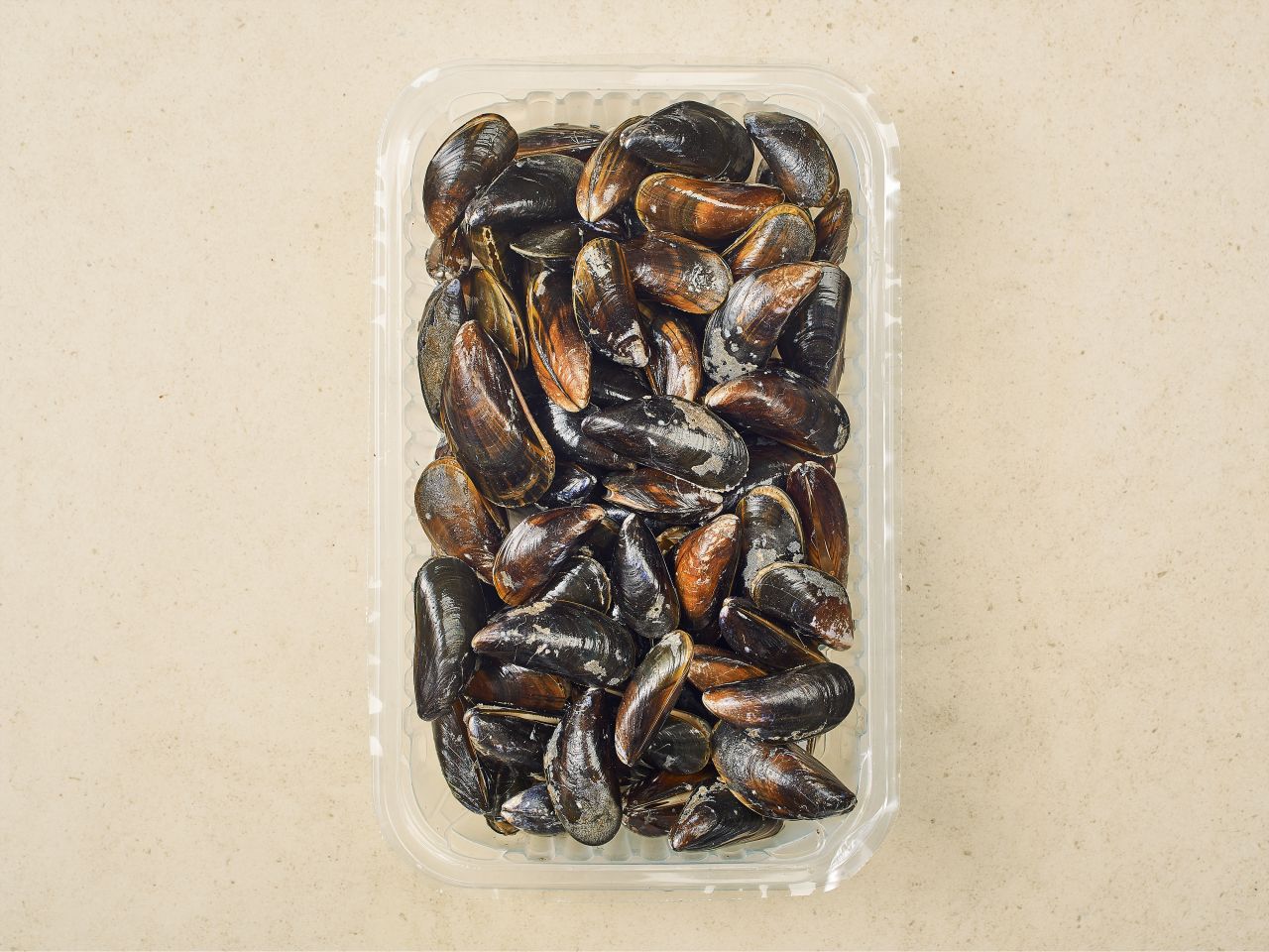 Miesmuscheln (MSC) · Größe M