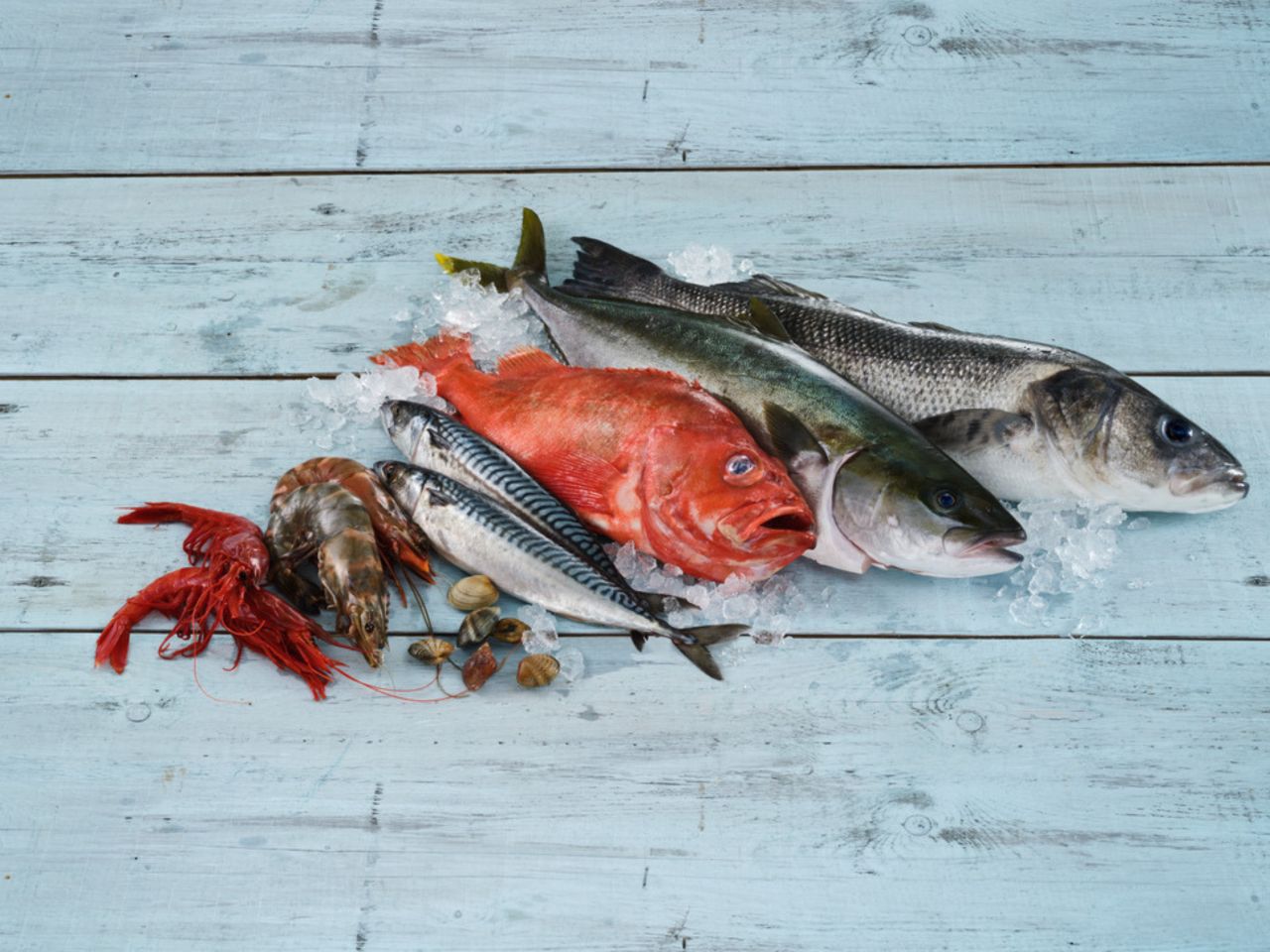 Dieser Fisch hat jetzt Saison