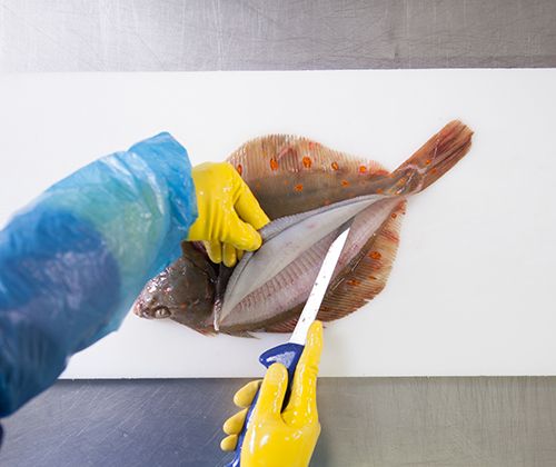 Filet auslösen Filet auslösen