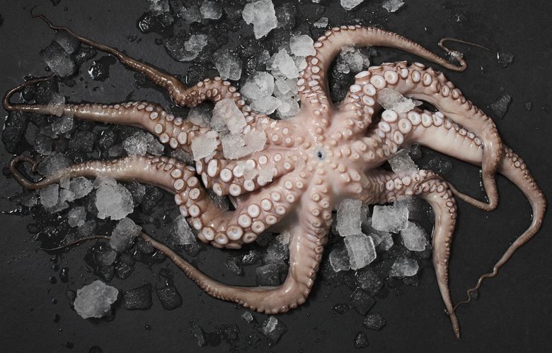 Krake (auch Pulpo genannt) Krake (auch Pulpo genannt)