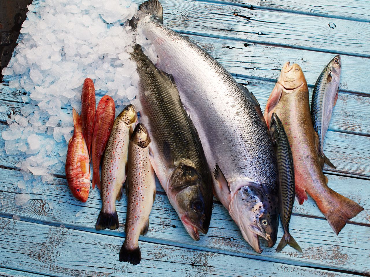 Frischfisch