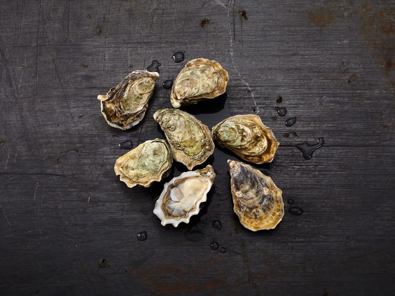 Tia Maraa Austern No. 3 · 75g